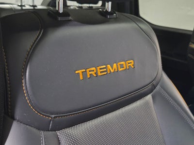 2021 Ford F-150 Tremor