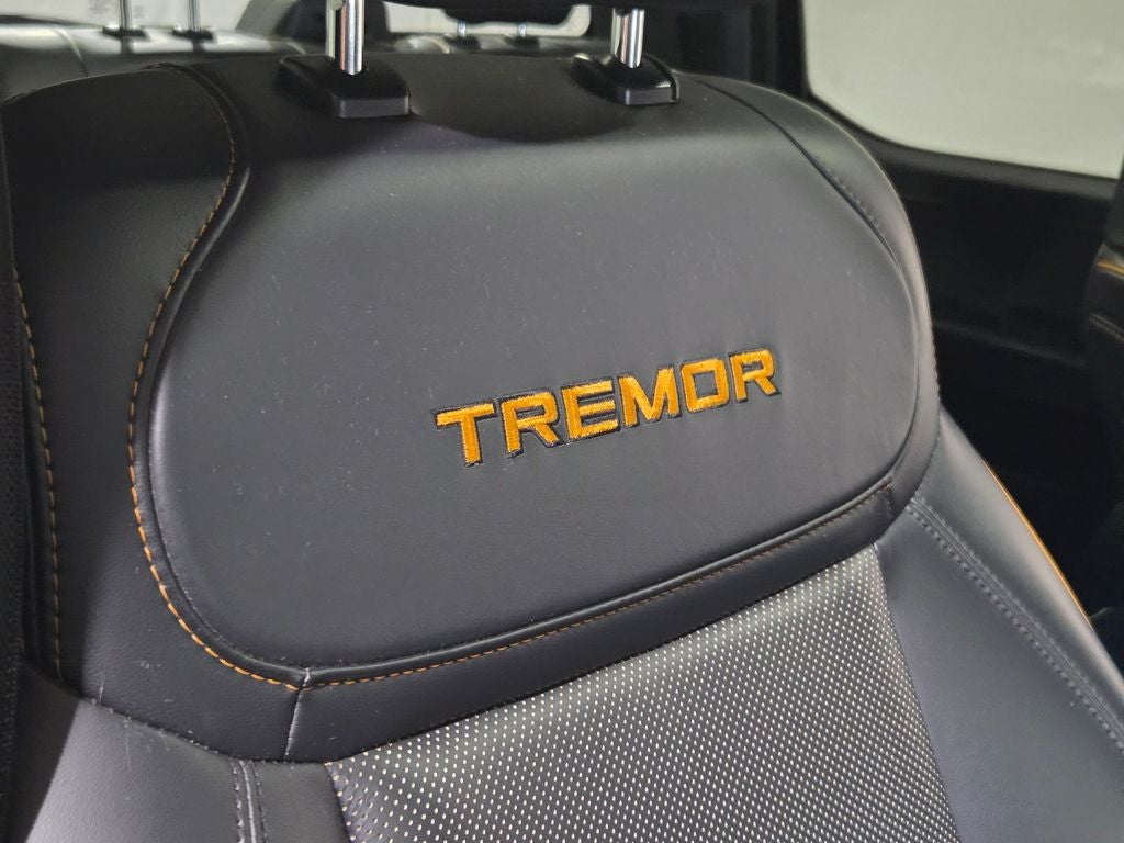 2021 Ford F-150 Tremor